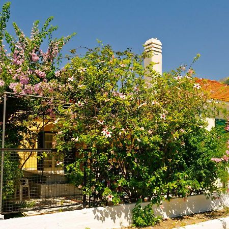 House With Garden Near The Sea Leilighet Agia Efimia Eksteriør bilde